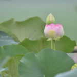 ［6］目線を変えると世界が変わる！？