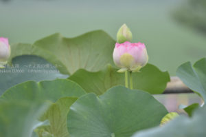 ［6］目線を変えると世界が変わる！？