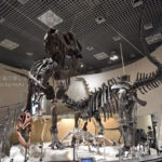 ［6］これが国立科学博物館だ！！