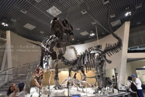 ［6］これが国立科学博物館だ！！