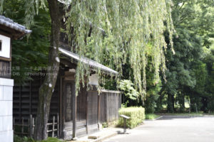 ［6］何故か江戸時代を感じる風景