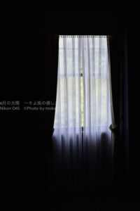 ［6］宿泊はクラシックホテルで優雅に