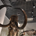 ［6］夏休みの宿題もラストスパート