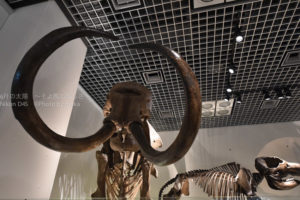 ［6］夏休みの宿題もラストスパート