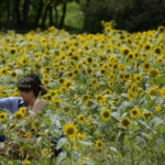 ［6］ひまわり畑で記念写真