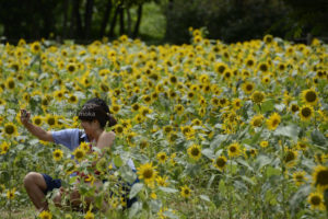 ［6］ひまわり畑で記念写真