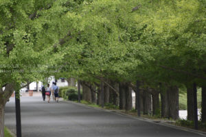 ［6］夏の出口と秋の入り口