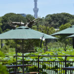 ［6］上野から見たスカイツリー