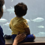 ［6］子供のしぐさに成長を感じる