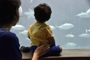 ［6］子供のしぐさに成長を感じる