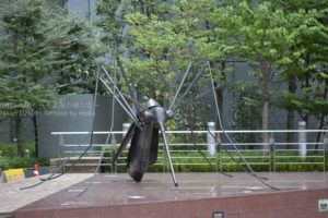 ［6］巨大昆虫現れる！！