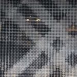 ［6］東京丸の内でブランドショップに囲まれた（笑）