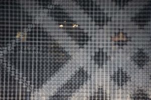 ［6］東京丸の内でブランドショップに囲まれた（笑）