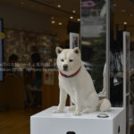 ［6］待ち合わせは、銀座「お父さん前」