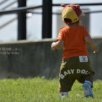 ［6］２０１４年を振り返る！