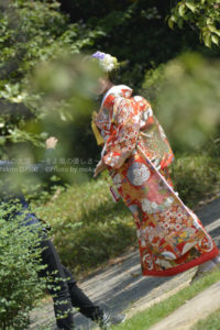 ［6］鮮やかな着物が庭園に映える
