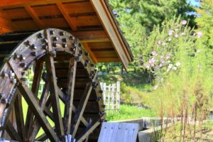［6］日本の故郷と秋の風景