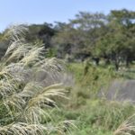 ［6］移り変わる季節の中で四季を感じられる幸せ