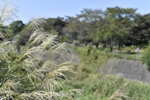 ［6］移り変わる季節の中で四季を感じられる幸せ