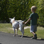 ［6］犬の散歩？ぼくちゃんの散歩？？