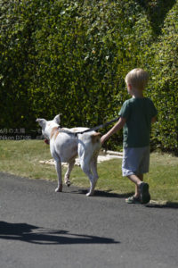 ［6］犬の散歩？ぼくちゃんの散歩？？