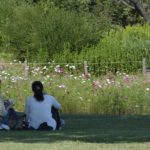 ［6］秋晴れの休日をのんびり公園で過ごす