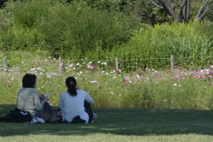 ［6］秋晴れの休日をのんびり公園で過ごす