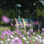 ［6］コスモス越しにみるＳＬ！