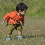 ［6］興味しんしん