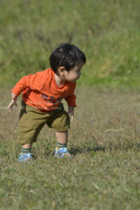 ［6］興味しんしん