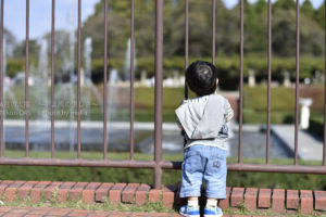 ［6］噴水の水の流れが気になります ♪