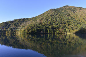 ［6］日本の秋、四季でもっともカラフルな季節！！