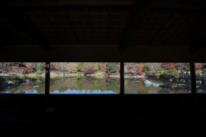 ［6］絵画のような日本庭園の紅葉