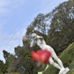 ［6］今年もやりました！！ 神代植物園でセクシーショット