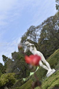 ［6］今年もやりました！！ 神代植物園でセクシーショット