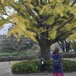 ［6］イチョウと私