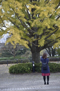 ［6］イチョウと私