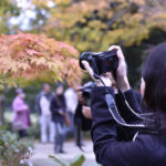［6］紅葉の彩りを撮る！