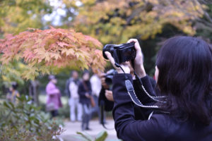 ［6］紅葉の彩りを撮る！