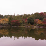 ［6］日本庭園を彩る秋の紅葉