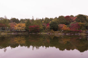 ［6］日本庭園を彩る秋の紅葉