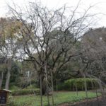 ［6］秋と春を比べてみた！！