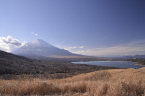 ［6］2015年　新年あけましておめでとうございます！