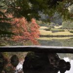 ［6］都心の紅葉の代表的なスポット、六義園！