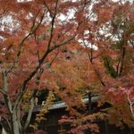［6］千葉県で紅葉といえば本土寺
