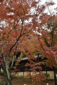 ［6］千葉県で紅葉といえば本土寺