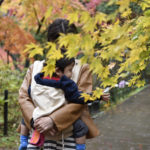 ［6］楓の葉と子供の手