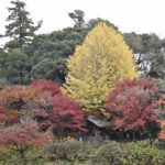 ［6］色づく紅葉で、あなたは何を感じますか？