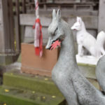 ［6］お稲荷様と色鮮やかな楓の葉