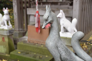 ［6］お稲荷様と色鮮やかな楓の葉